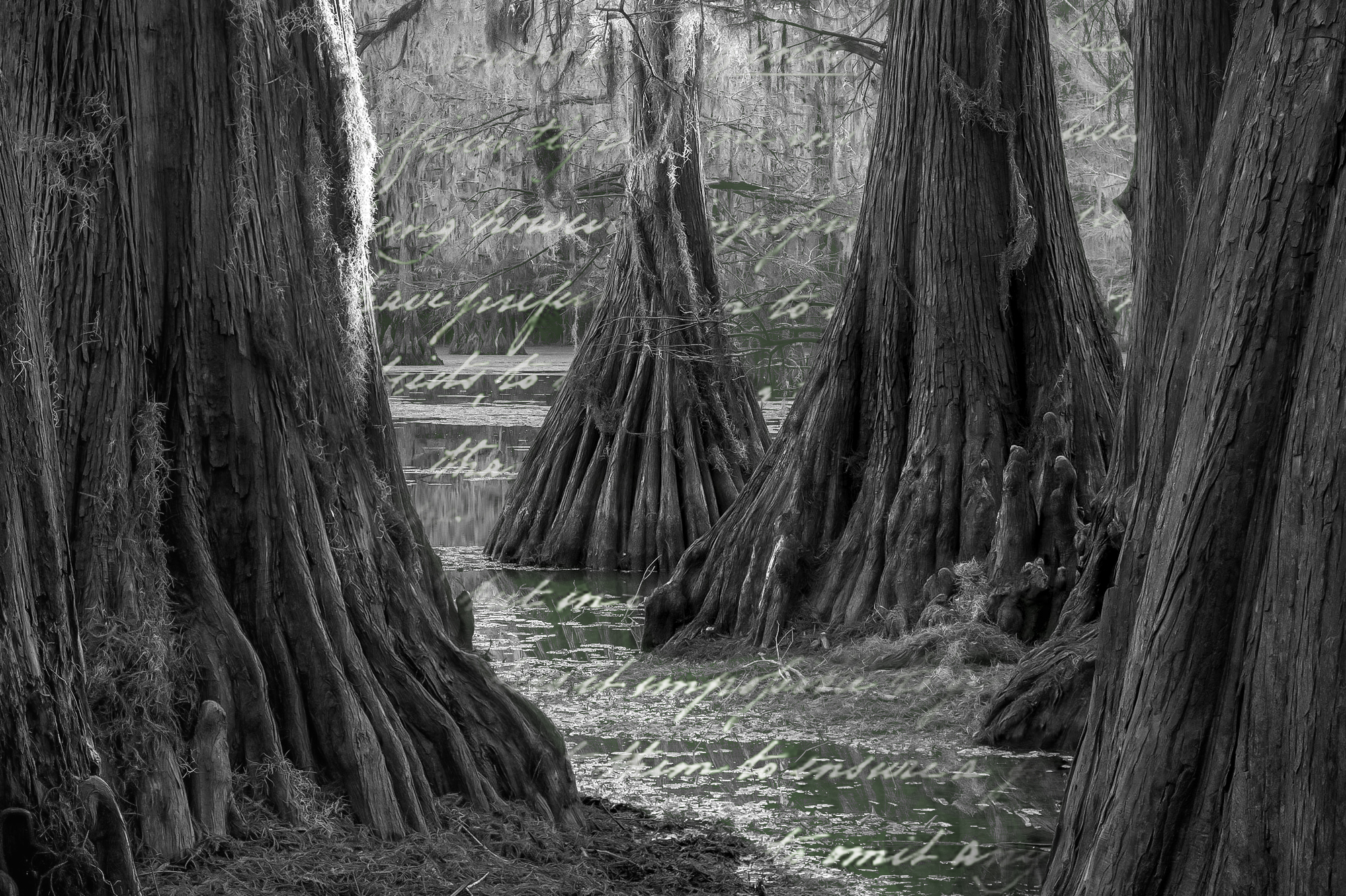 Meeker Root and Ruin