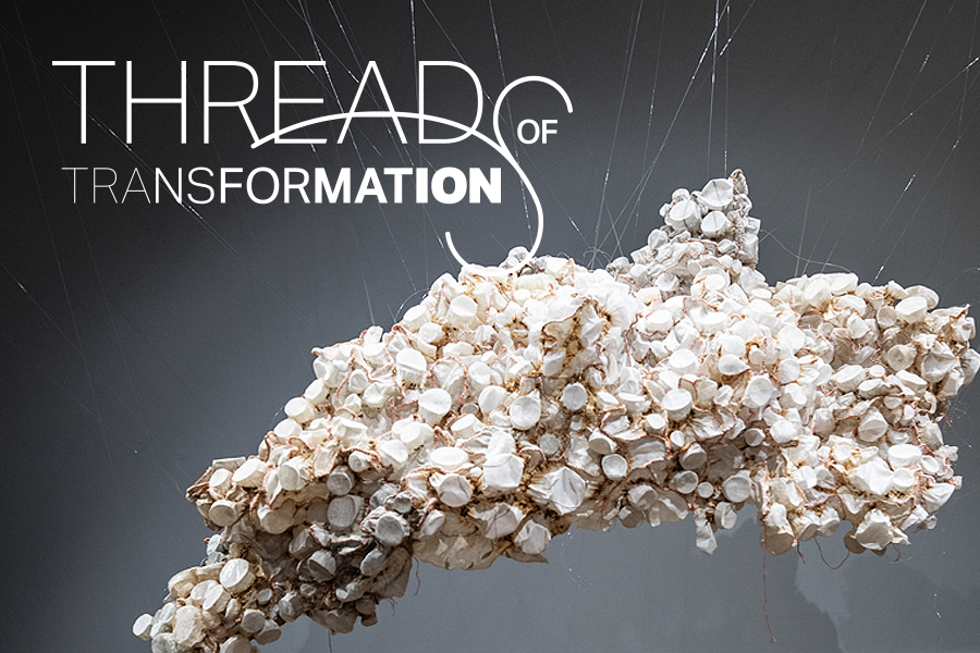 Threads of Transformation Visiting Artist Debbie Carlson