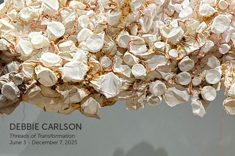 Debbie Carlson